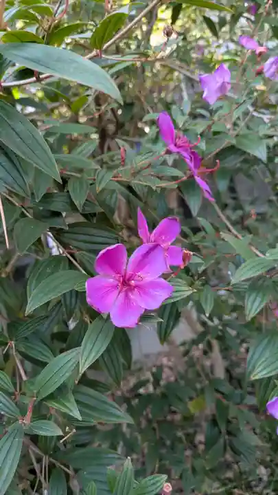 水堂須佐男神社(兵庫県)