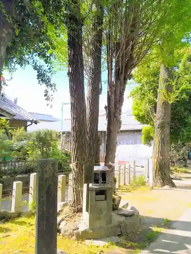 白山神社の自然