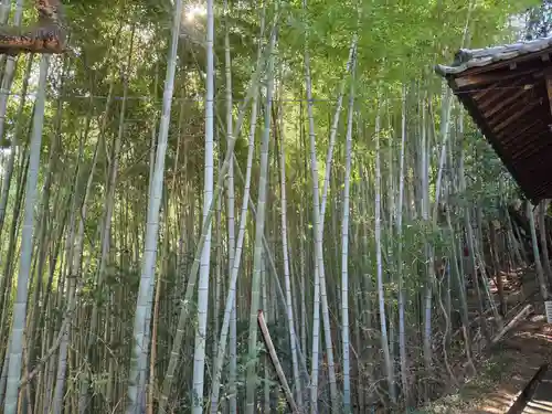大宮神社(東京都)