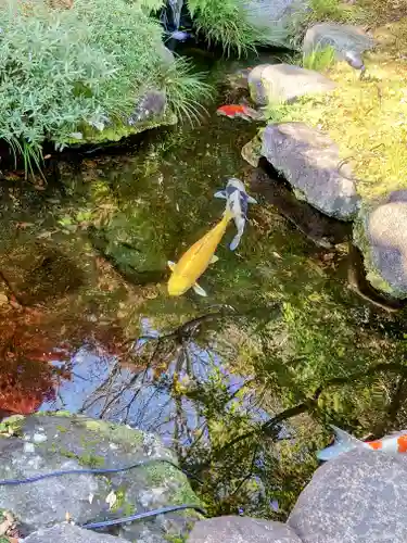 長谷寺(神奈川県)