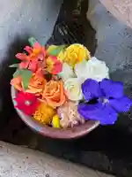 菅生神社(愛知県)