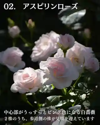 宝光寺(北海道)