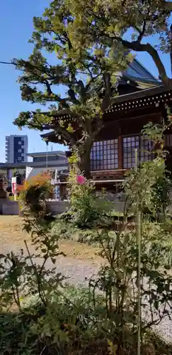 三輪里稲荷神社の自然