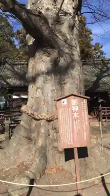 白鳥神社のその他建物