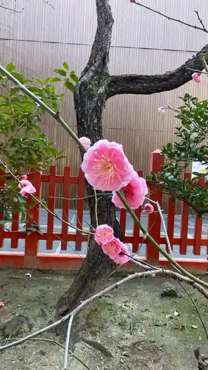 菅原神社の自然