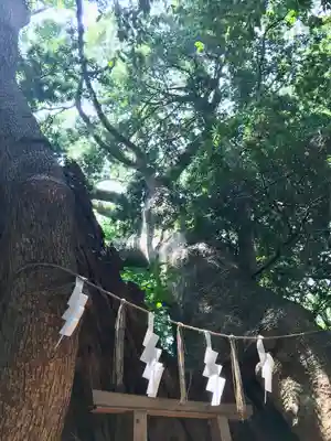 住吉神社(山口県)