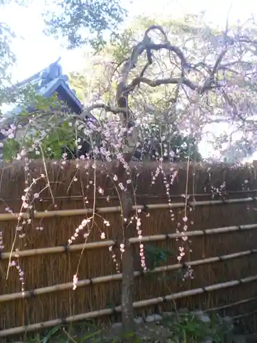 荏柄天神社の自然