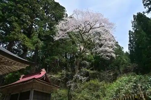 風巻神社(新潟県)