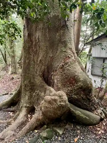祓戸神社(新潟県)