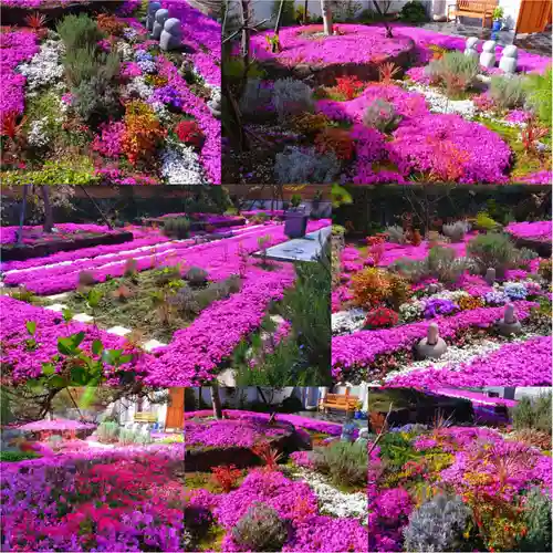 寿量山　速成寺(奈良県)