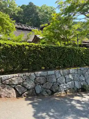 大興善寺の{uncategorized: "未分類", other: "その他", undefined: "問題あり", building: "その他建物", grave: "お墓", sacred_gate: "鳥居", guardian: "狛犬", statue: "像", buddha: "仏像", history: "歴史", nature: "自然", garden: "庭園", animal: "動物", pagoda: "塔", temizu: "手水舎", mountain_gate: "山門・神門", sanctuary: "本殿・本堂", subordinate: "末社・摂社", art: "芸術", scenery: "景色", jizo: "地蔵", ema: "絵馬", goshuin: "御朱印", omikuji: "おみくじ", items: "授与品その他", amulet: "お守り", goshuincho: "御朱印帳", eats: "食事", festival: "お祭り", votive_dance: "神楽", shichigosan: "七五三参", wedding: "結婚式", experience: "体験その他", initially: "初詣", around: "周辺", anti_infection: "感染症対策"}
