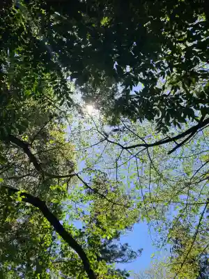 春日神社(福島県)
