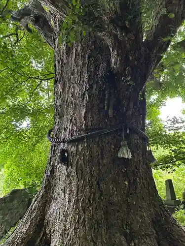 平内神社(兵庫県)