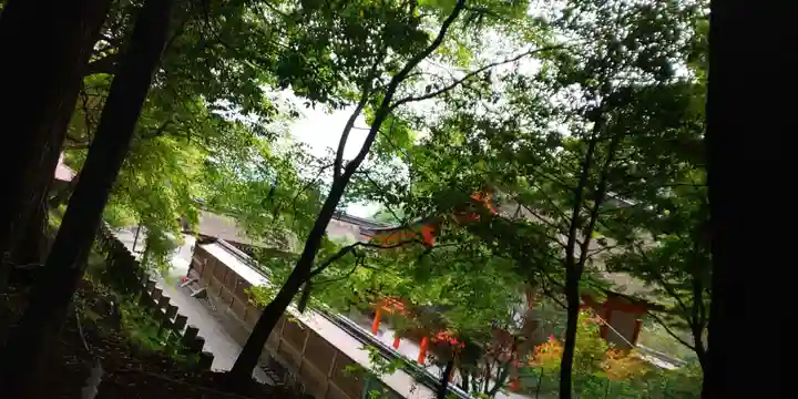 出雲大神宮の本殿・本堂