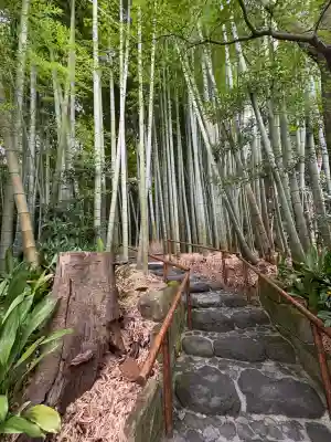 報国寺(神奈川県)