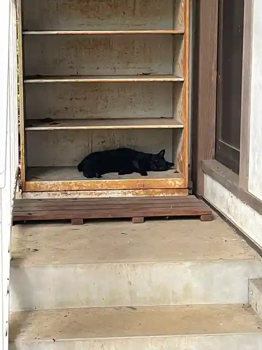 大宮住吉神社(埼玉県)