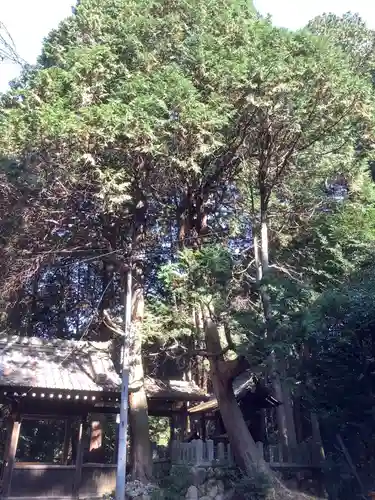 大宮浅間神社中宮(愛知県)