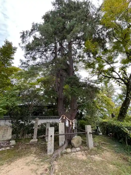 聖天宮 西江寺(大阪府)