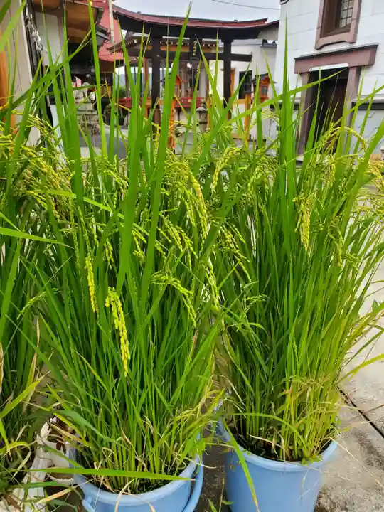 大鏑神社(福島県)