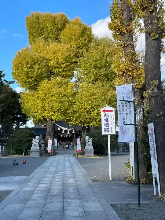 亀ケ池八幡宮(神奈川県)