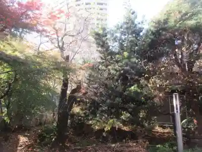 蓮光院(東京都)