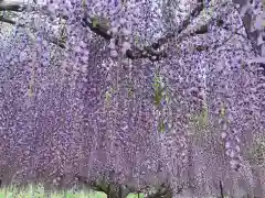 天台宗 五大山 白毫寺(兵庫県)