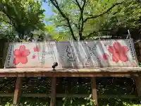 中司孫太郎稲荷神社の{uncategorized: "未分類", other: "その他", undefined: "問題あり", building: "その他建物", grave: "お墓", sacred_gate: "鳥居", guardian: "狛犬", statue: "像", buddha: "仏像", history: "歴史", nature: "自然", garden: "庭園", animal: "動物", pagoda: "塔", temizu: "手水舎", mountain_gate: "山門・神門", sanctuary: "本殿・本堂", subordinate: "末社・摂社", art: "芸術", scenery: "景色", jizo: "地蔵", ema: "絵馬", goshuin: "御朱印", omikuji: "おみくじ", items: "授与品その他", amulet: "お守り", goshuincho: "御朱印帳", eats: "食事", festival: "お祭り", votive_dance: "神楽", shichigosan: "七五三参", wedding: "結婚式", experience: "体験その他", initially: "初詣", around: "周辺", anti_infection: "感染症対策"}