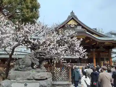 湯島天満宮の本殿・本堂
