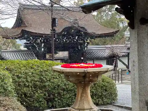 大谷本廟のその他建物