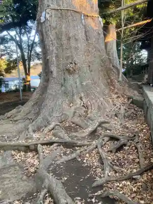 五霊神社(神奈川県)