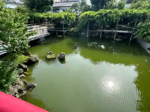 亀戸天神社(東京都)
