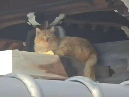 西性寺(和歌山県)