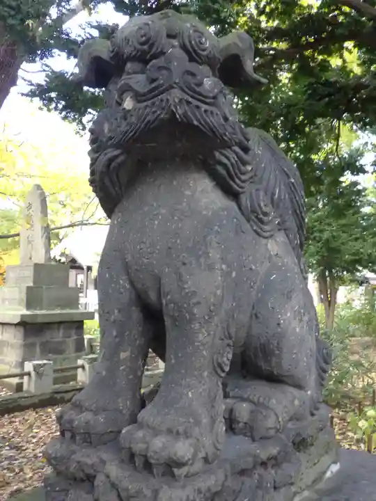 新琴似神社の狛犬