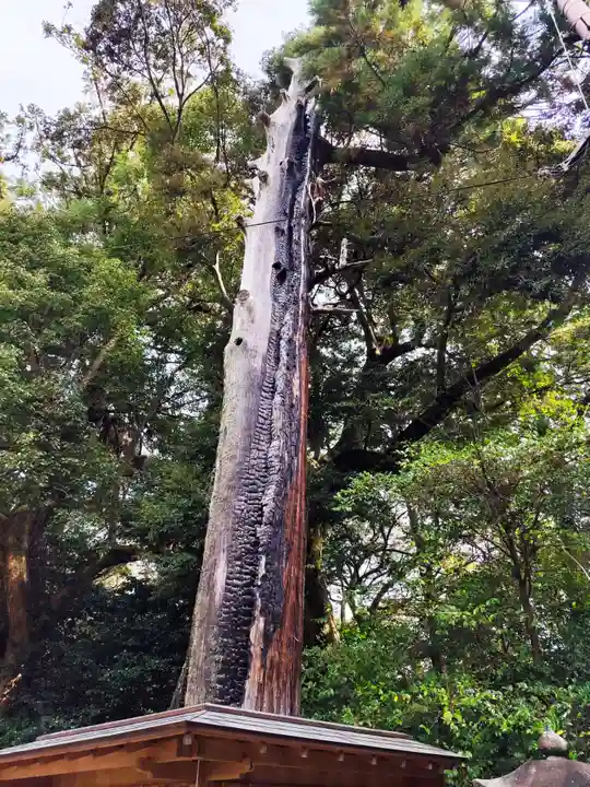 往馬坐伊古麻都比古神社(奈良県)