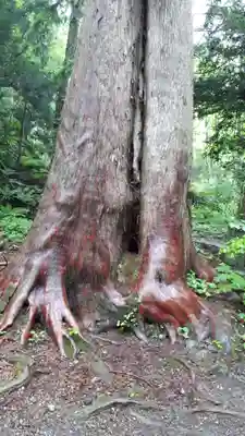 十和田神社(青森県)