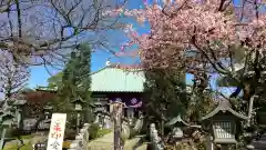 密藏院(埼玉県)