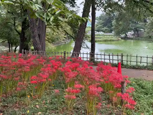 埼玉縣護國神社(埼玉県)