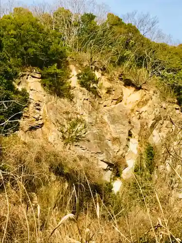 八幡神社の自然