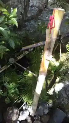 退蔵院のその他建物