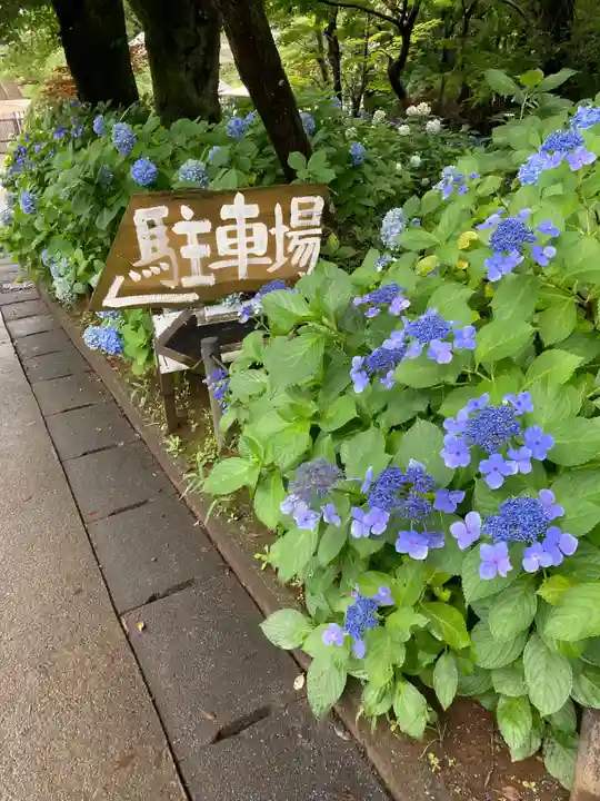 本土寺(千葉県)