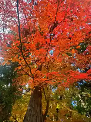陸奥総社宮(宮城県)