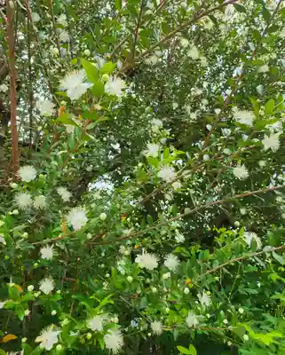 東光院(大阪府)