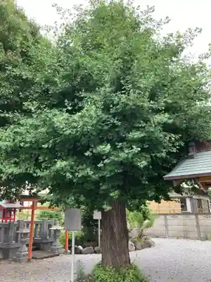 八王子神社の自然