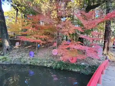 間々田八幡宮(栃木県)