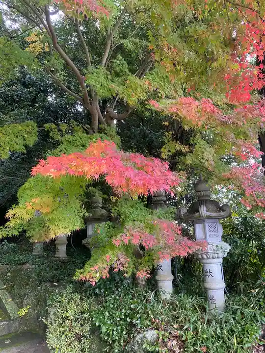 葛木坐火雷神社(奈良県)