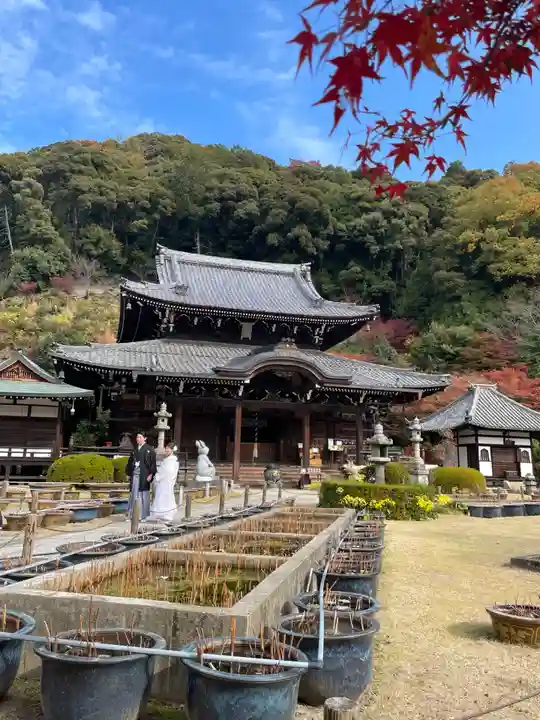 三室戸寺の本殿・本堂
