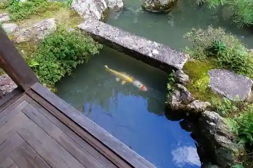 柳谷観音　楊谷寺の庭園