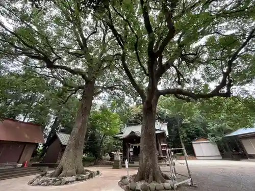 五社神社(神奈川県)
