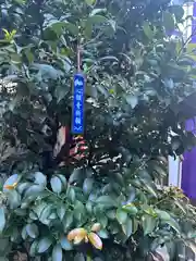 烏森神社(東京都)