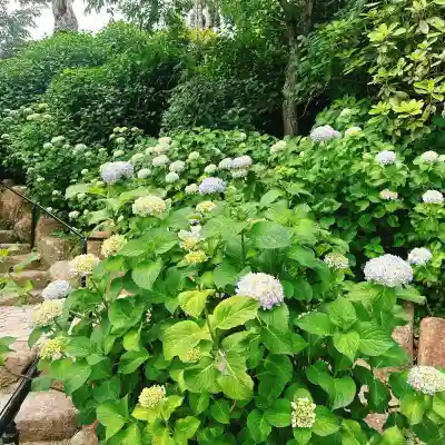 楽法寺（雨引観音）(茨城県)